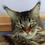 MuKu